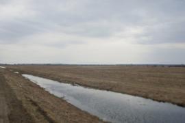 Участок напротив озера в Есаулова