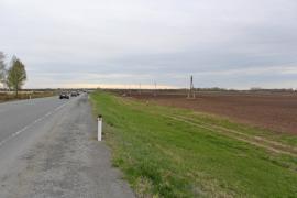 Сельхозугодья в Борках