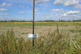 Участок в Борках