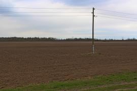 Сельхозка 6 га в Субботино