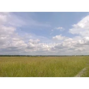 Участок для фермеров возле Туры, 50 км от Тюмени