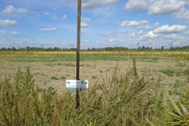 Участок в Борках