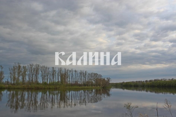 Дачи на берегу Туры