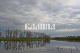 Дачи на берегу Туры