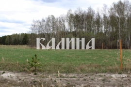 Участок с выходом в лес