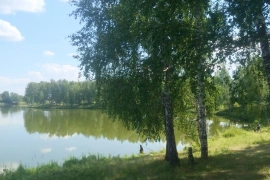 На берегу озера